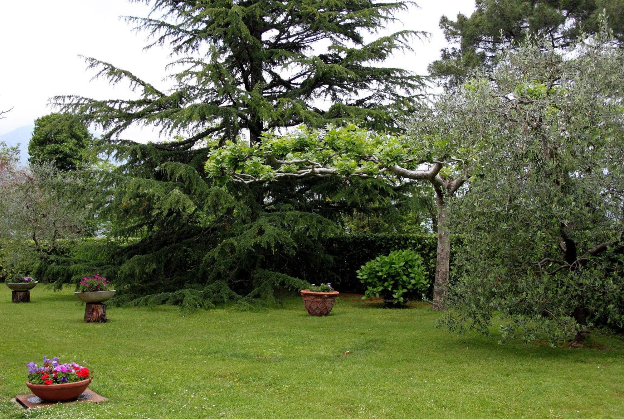 Hotel Il Buongustaio Massa  Buitenkant foto