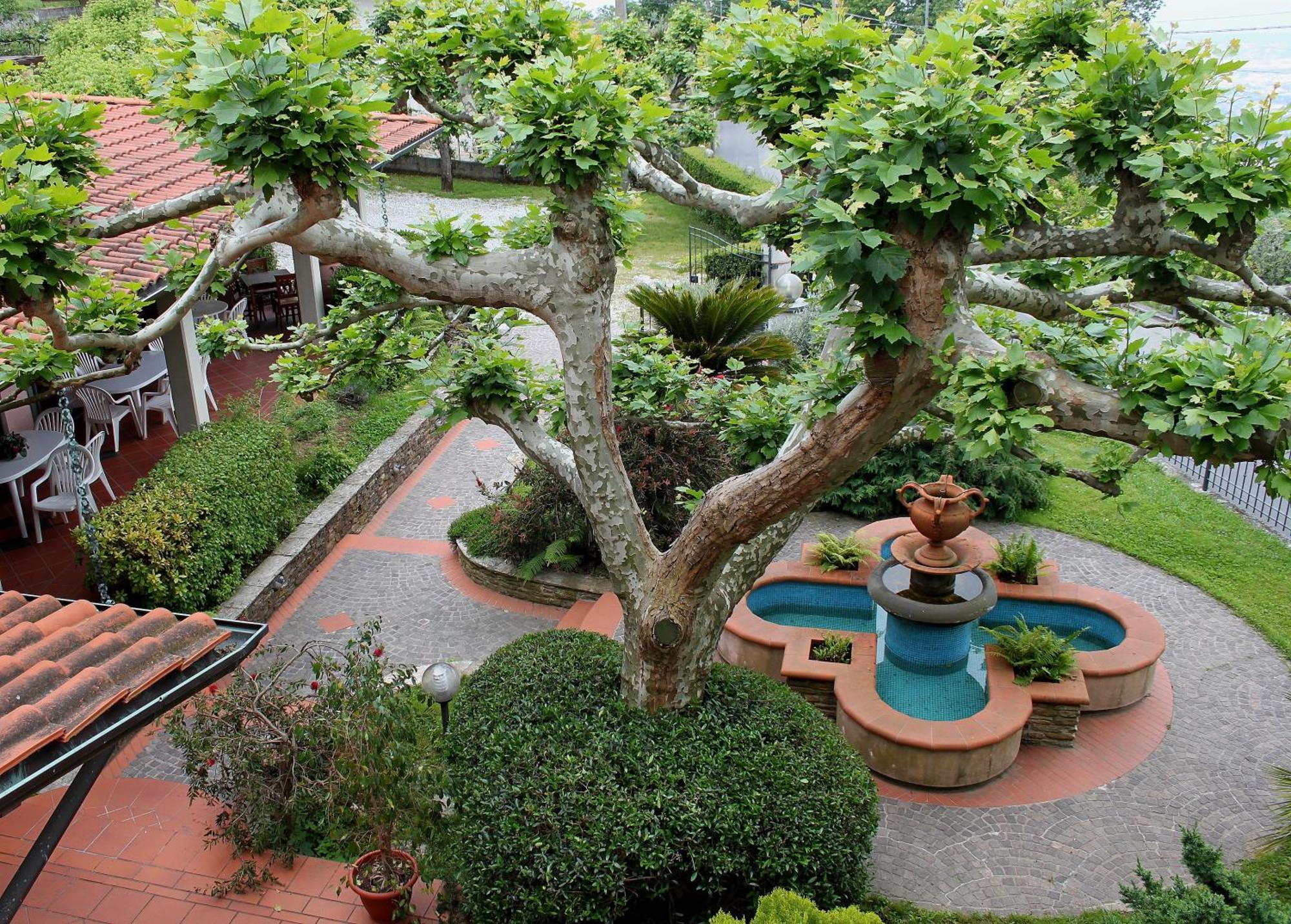 Hotel Il Buongustaio Massa  Buitenkant foto